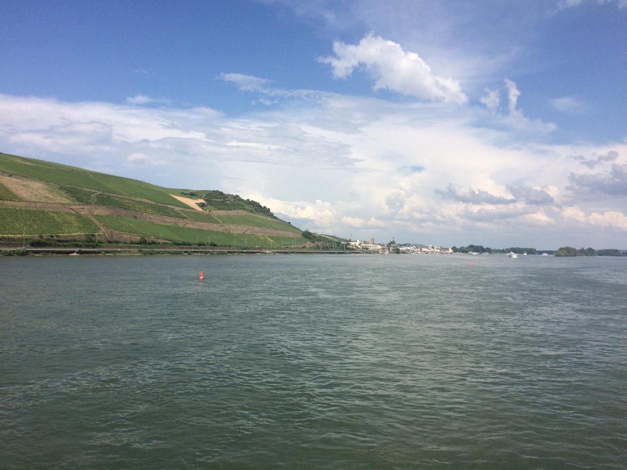 Haus Am Weinberg Lejlighed Rüdesheim am Rhein Eksteriør billede