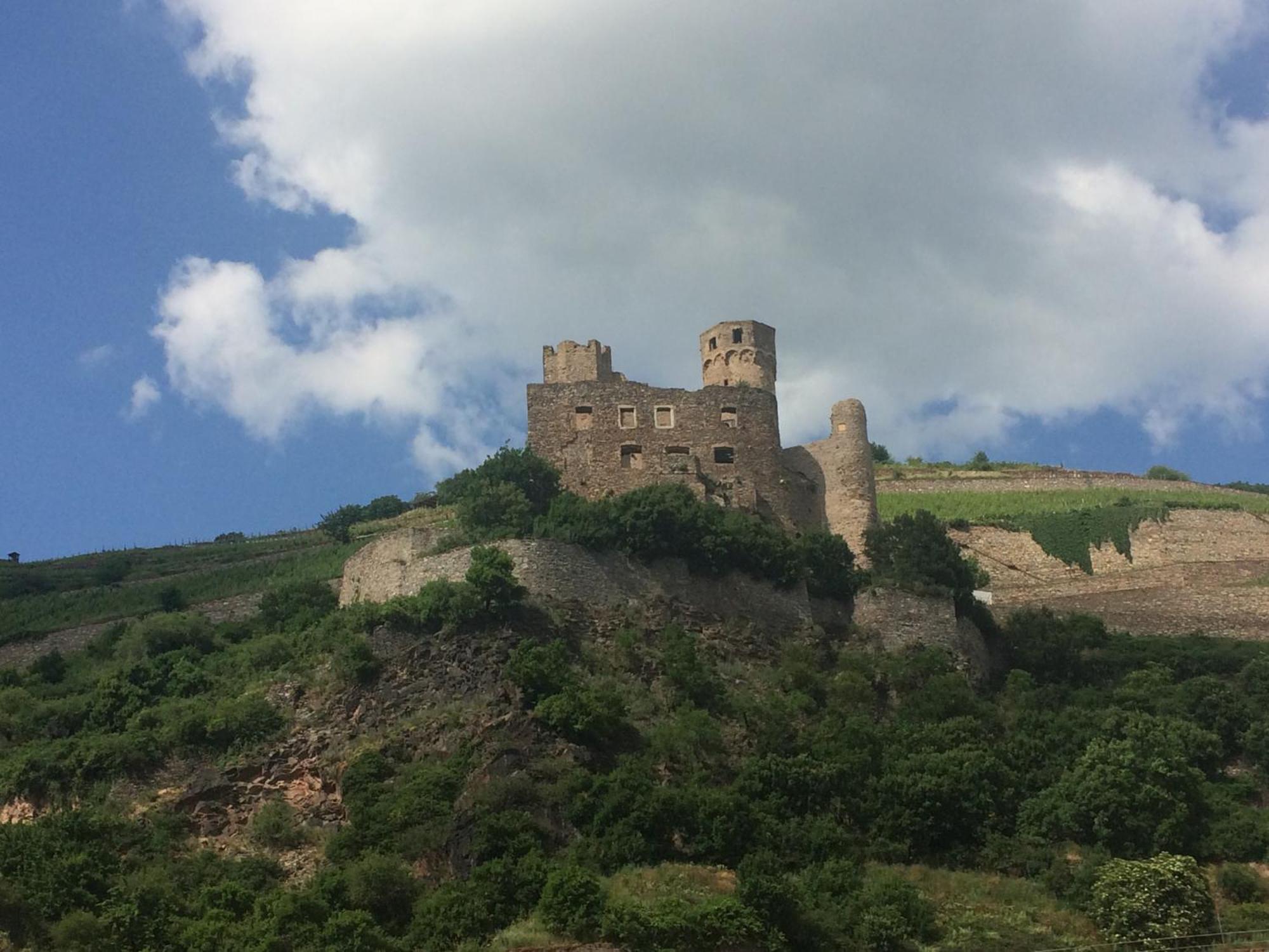 Haus Am Weinberg Lejlighed Rüdesheim am Rhein Eksteriør billede