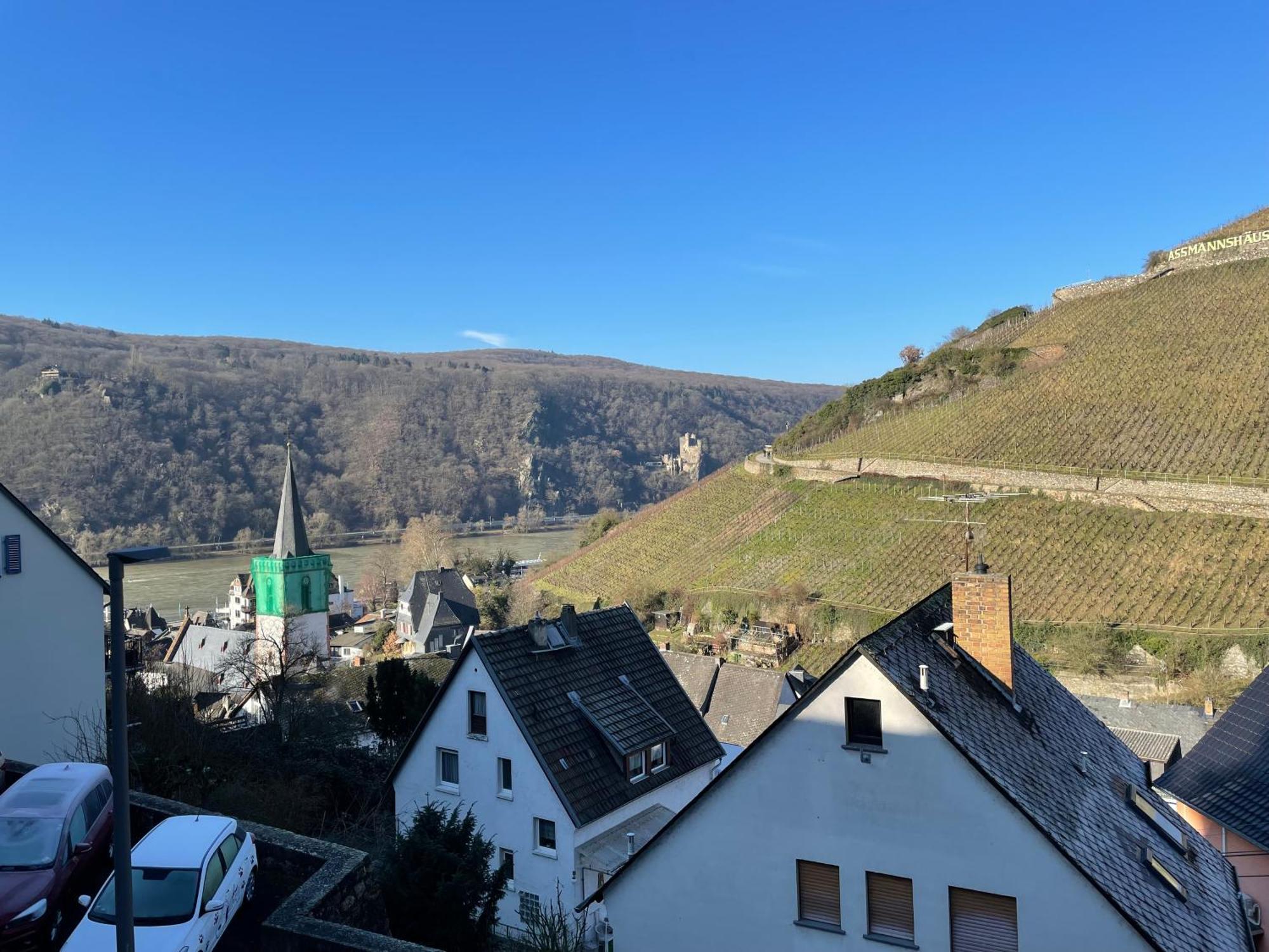 Haus Am Weinberg Lejlighed Rüdesheim am Rhein Eksteriør billede
